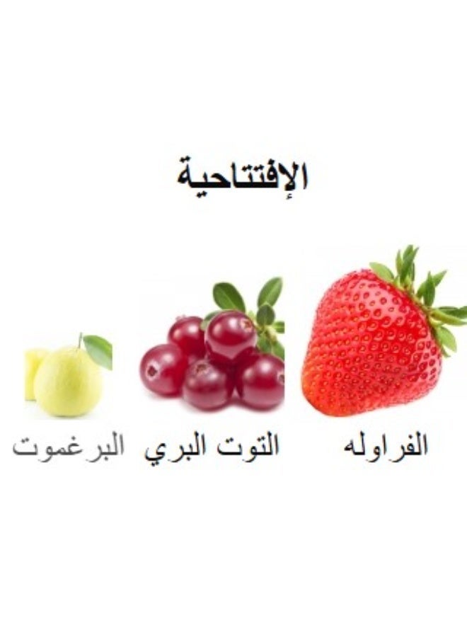 مامود كرزاي ماركو نوير اودي برفيوم 100مل - Image 5